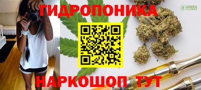 мяу мяу мука Беслан