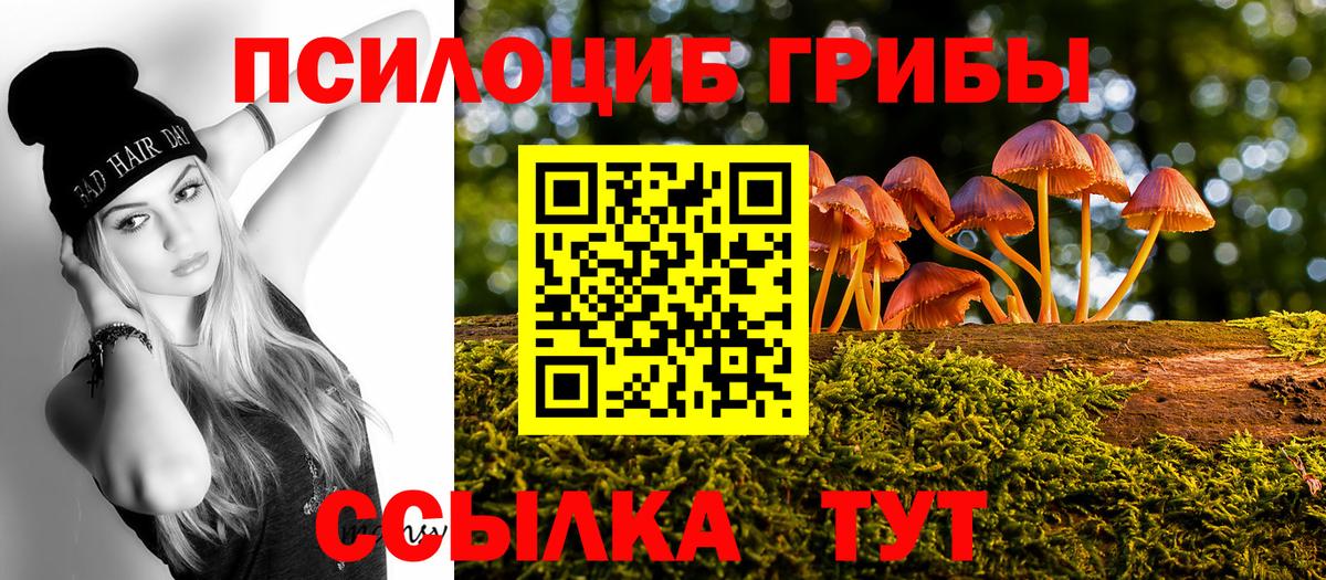 Псилоцибиновые грибы мицелий Бахчисарай