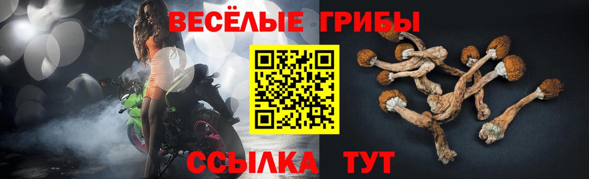 Бахчисарай  магазин продажи наркотиков  Вход с VPN  Галлюциногенные грибы Psilocybe 
